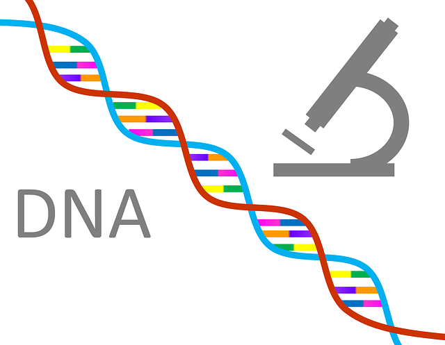 遺伝子・DNA検査